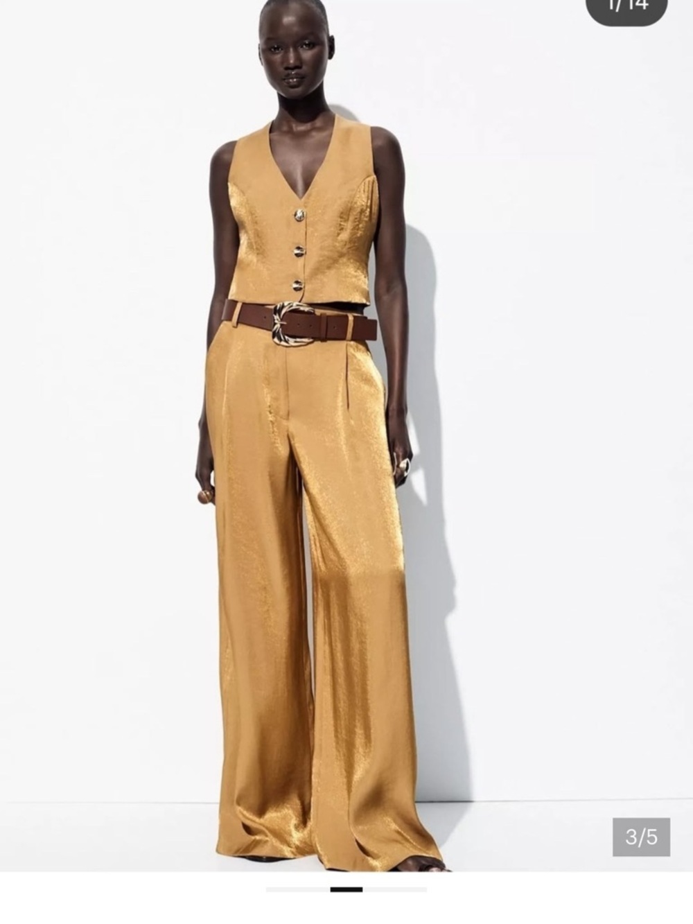 Zara Wide-Leg High-Rise Pants in Tan